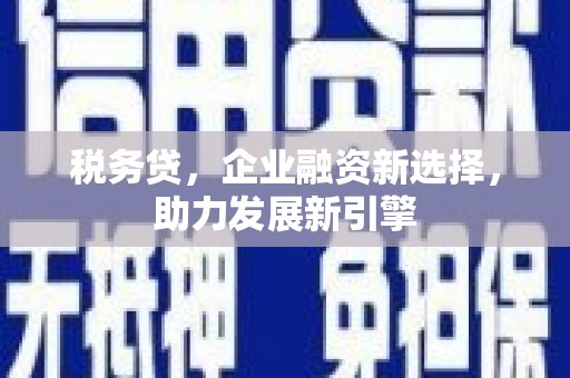 阜阳税务贷，企业融资新选择，助力发展新引擎