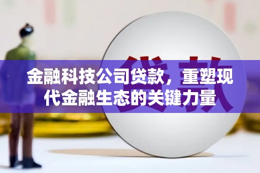 阜阳金融科技公司贷款，重塑现代金融生态的关键力量