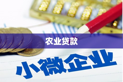 阜阳农业贷款