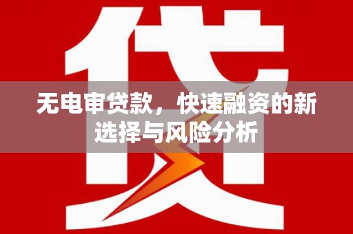 阜阳无电审贷款，快速融资的新选择与风险分析