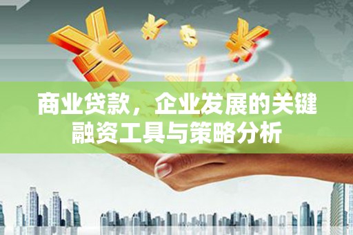 阜阳商业贷款，企业发展的关键融资工具与策略分析