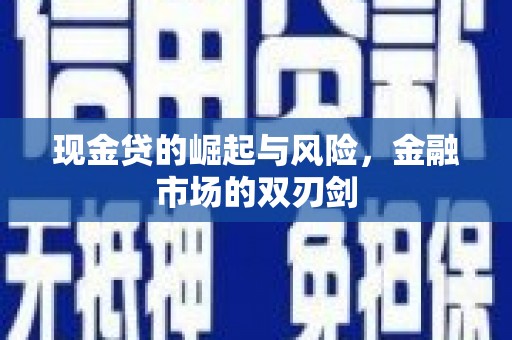 阜阳现金贷的崛起与风险，金融市场的双刃剑