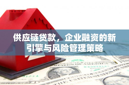 阜阳供应链贷款，企业融资的新引擎与风险管理策略