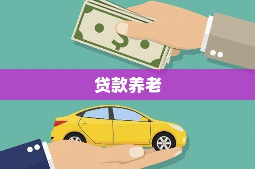 阜阳贷款养老