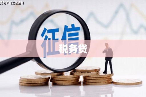 阜阳税务贷