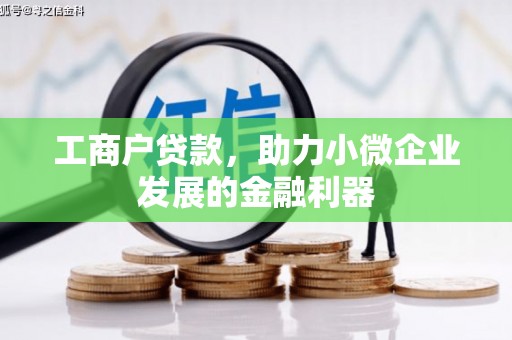 阜阳工商户贷款，助力小微企业发展的金融利器