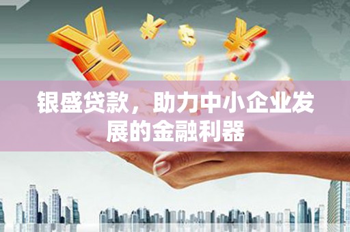 阜阳银盛贷款，助力中小企业发展的金融利器