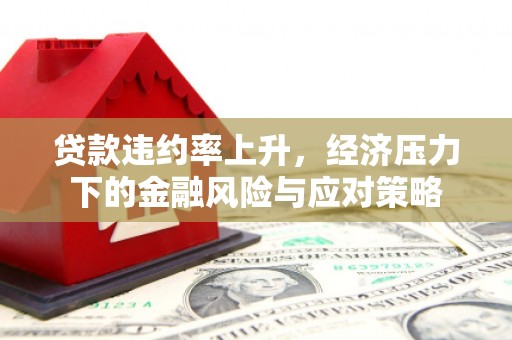 阜阳贷款违约率上升，经济压力下的金融风险与应对策略