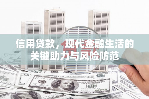 阜阳信用贷款，现代金融生活的关键助力与风险防范