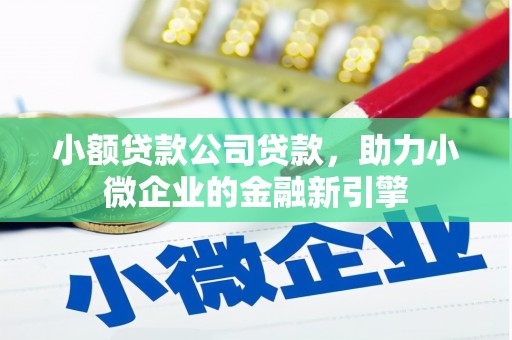 阜阳小额贷款公司贷款，助力小微企业的金融新引擎
