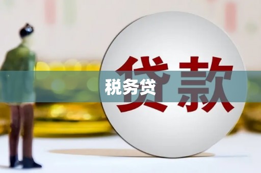 阜阳税务贷