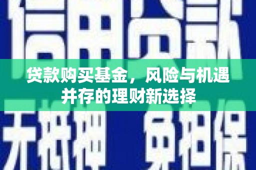 阜阳贷款购买基金，风险与机遇并存的理财新选择