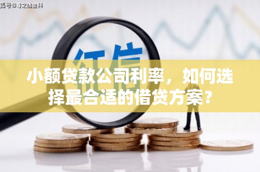 阜阳小额贷款公司利率，如何选择最合适的借贷方案？