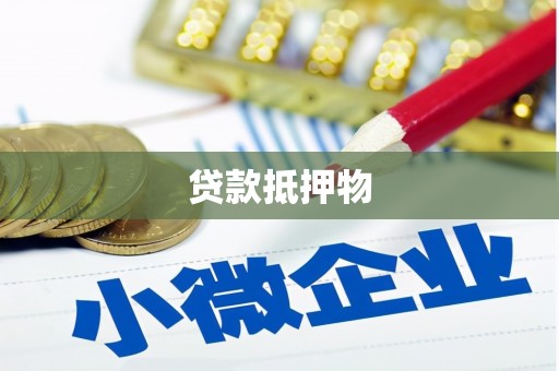 阜阳贷款抵押物