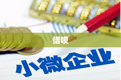 阜阳借呗