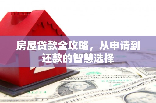 阜阳房屋贷款全攻略，从申请到还款的智慧选择