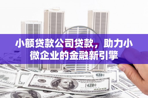 阜阳小额贷款公司贷款，助力小微企业的金融新引擎