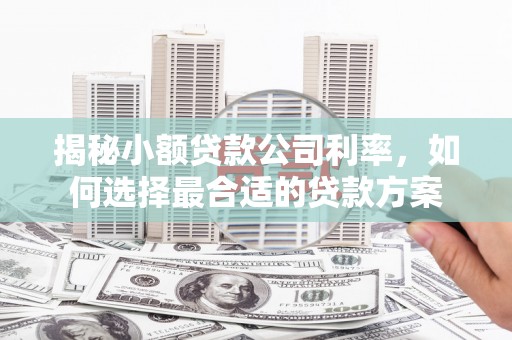 阜阳揭秘小额贷款公司利率，如何选择最合适的贷款方案