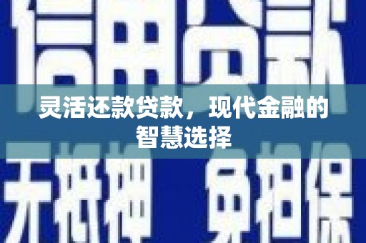 阜阳灵活还款贷款，现代金融的智慧选择