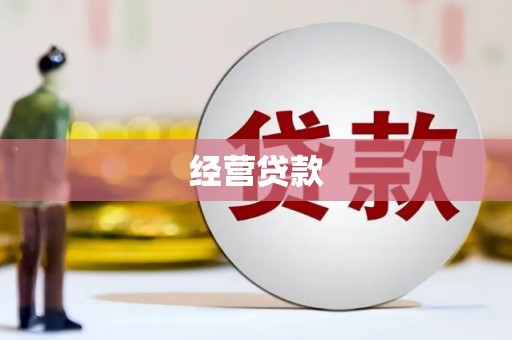 阜阳经营贷款