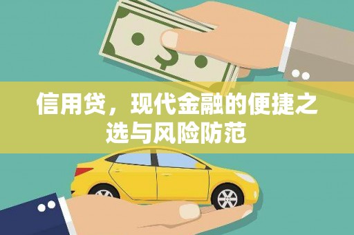 阜阳信用贷，现代金融的便捷之选与风险防范