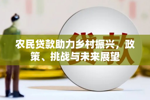 阜阳农民贷款助力乡村振兴，政策、挑战与未来展望