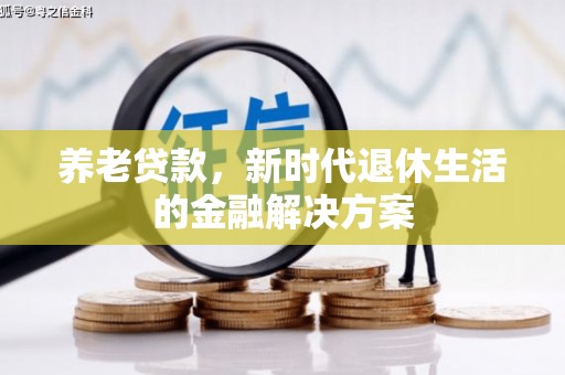 阜阳养老贷款，新时代退休生活的金融解决方案