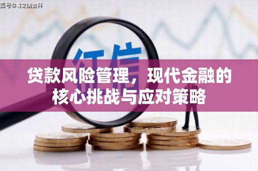 阜阳贷款风险管理，现代金融的核心挑战与应对策略