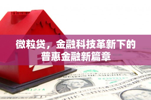 阜阳微粒贷，金融科技革新下的普惠金融新篇章