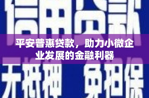 阜阳平安普惠贷款，助力小微企业发展的金融利器