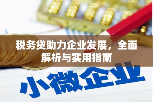阜阳税务贷助力企业发展，全面解析与实用指南