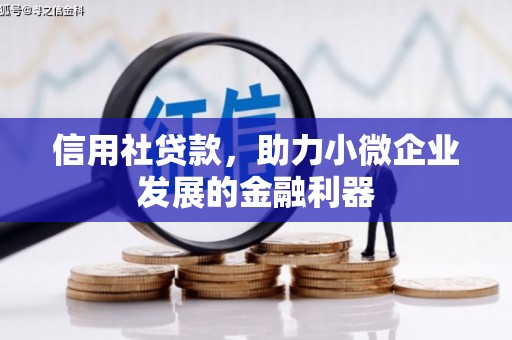 阜阳信用社贷款，助力小微企业发展的金融利器