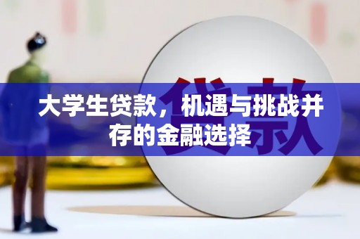 阜阳大学生贷款，机遇与挑战并存的金融选择