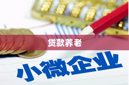阜阳贷款养老