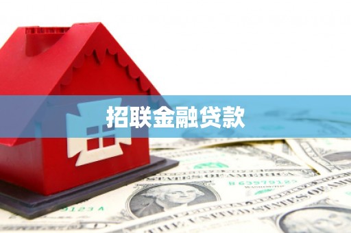 阜阳招联金融贷款