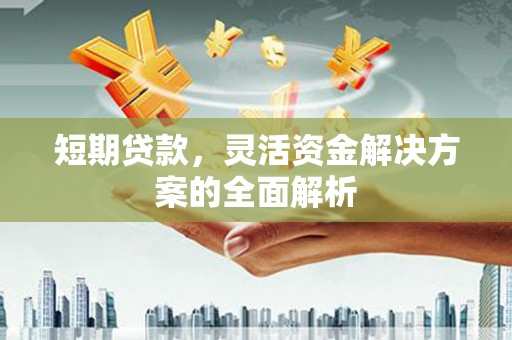 阜阳短期贷款，灵活资金解决方案的全面解析
