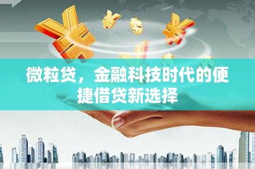 阜阳微粒贷，金融科技时代的便捷借贷新选择