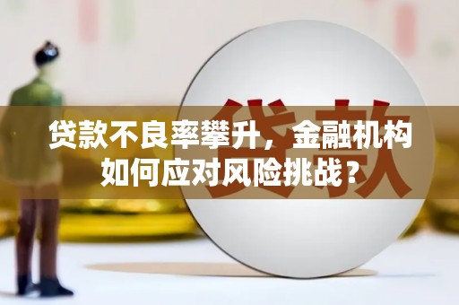 阜阳贷款不良率攀升，金融机构如何应对风险挑战？