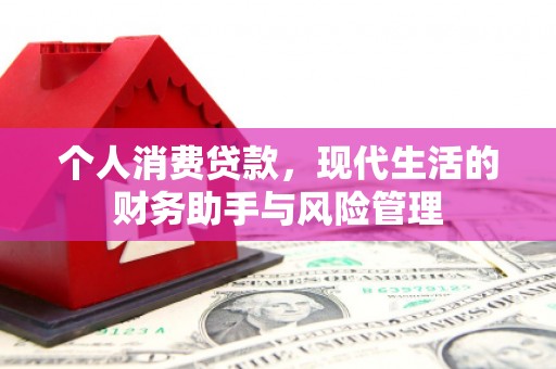 阜阳个人消费贷款，现代生活的财务助手与风险管理