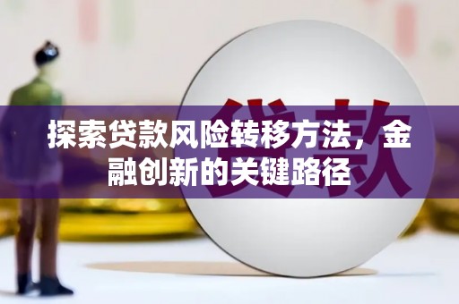 阜阳探索贷款风险转移方法，金融创新的关键路径