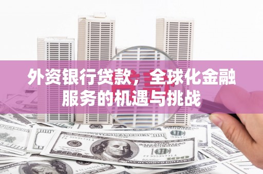 阜阳外资银行贷款，全球化金融服务的机遇与挑战