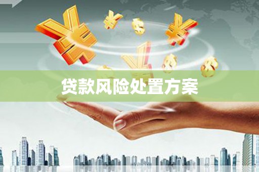 阜阳贷款风险处置方案