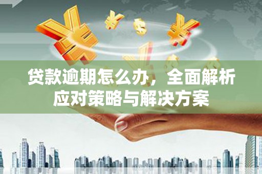 阜阳贷款逾期怎么办，全面解析应对策略与解决方案