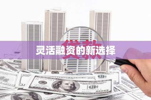 阜阳灵活融资的新选择