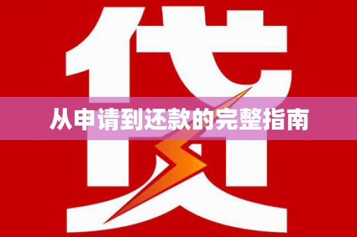 阜阳从申请到还款的完整指南