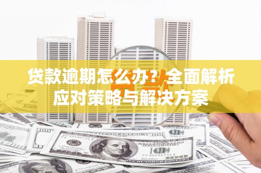 阜阳贷款逾期怎么办？全面解析应对策略与解决方案