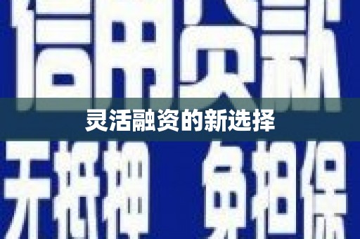 阜阳灵活融资的新选择