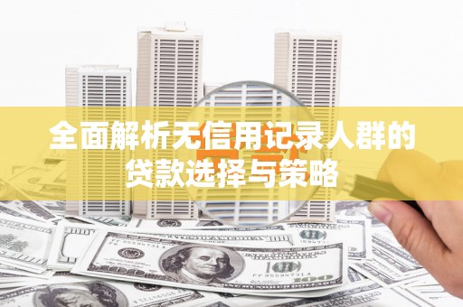 阜阳全面解析无信用记录人群的贷款选择与策略