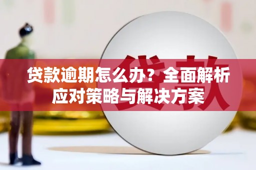 阜阳贷款逾期怎么办？全面解析应对策略与解决方案