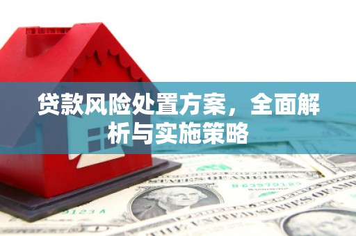 阜阳贷款风险处置方案，全面解析与实施策略
